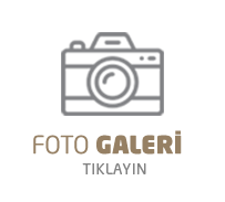 Çimen Dekorasyon